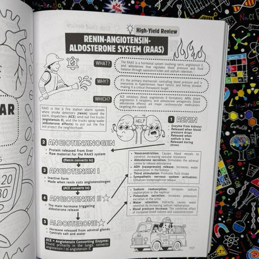 Top 200 Drugs Simplified Pharmacology Coloring Book and Study Guide by P Burns PharmD for Visual Learners